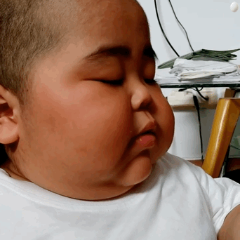 肉嘟嘟的tatan吃面包微信表情包