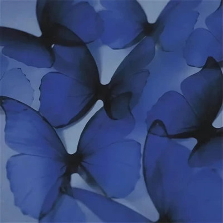 ins淡蓝色超仙气背景图