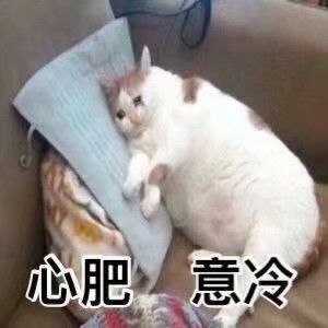 可爱呆萌微信表情包