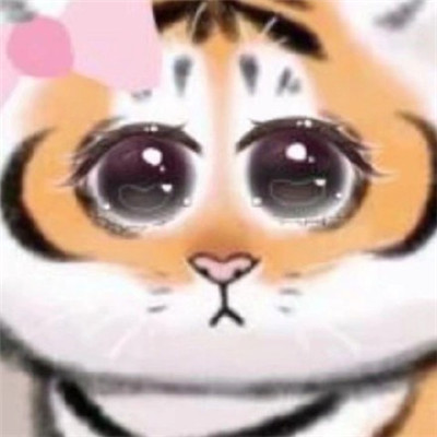 全网超火的小老虎微信头像