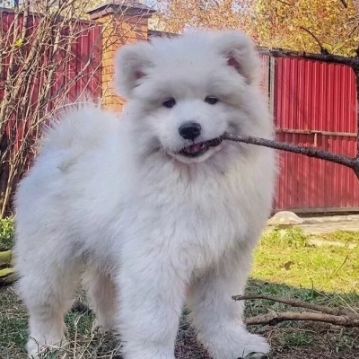 最新版爆笑沙雕个性微信头像