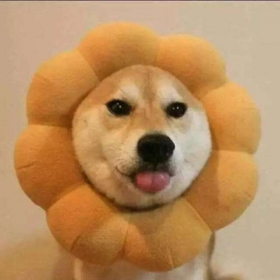 最新版爆笑沙雕个性微信头像