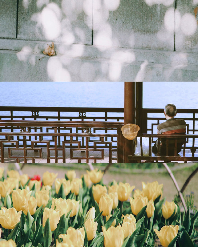 治愈三屏的春天微信聊天背景图