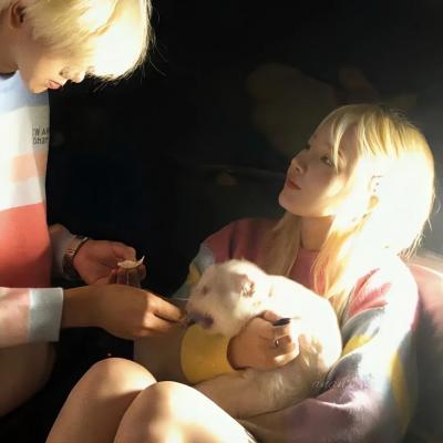 超高颜值甜蜜情侣头像