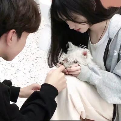 好看的真人情侣头像