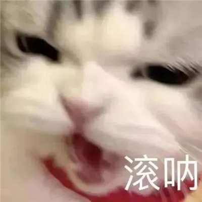 沙雕聊天搞怪必备表情包