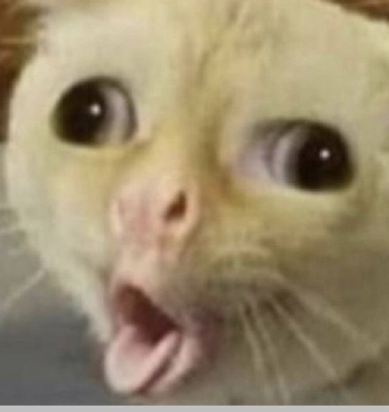 恶搞后的沙雕脸微信表情包