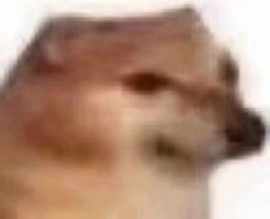 沙雕笑裂了狗头微信表情包