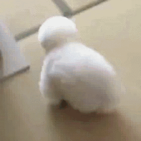 撒娇撩人可爱动态微信表情包