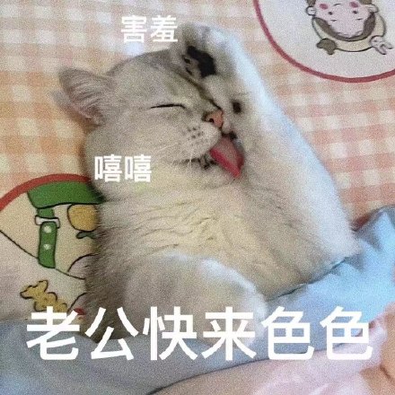 老公想要色色微信表情包