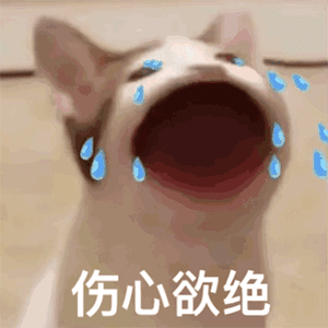 斗图必备的欢乐动态表情