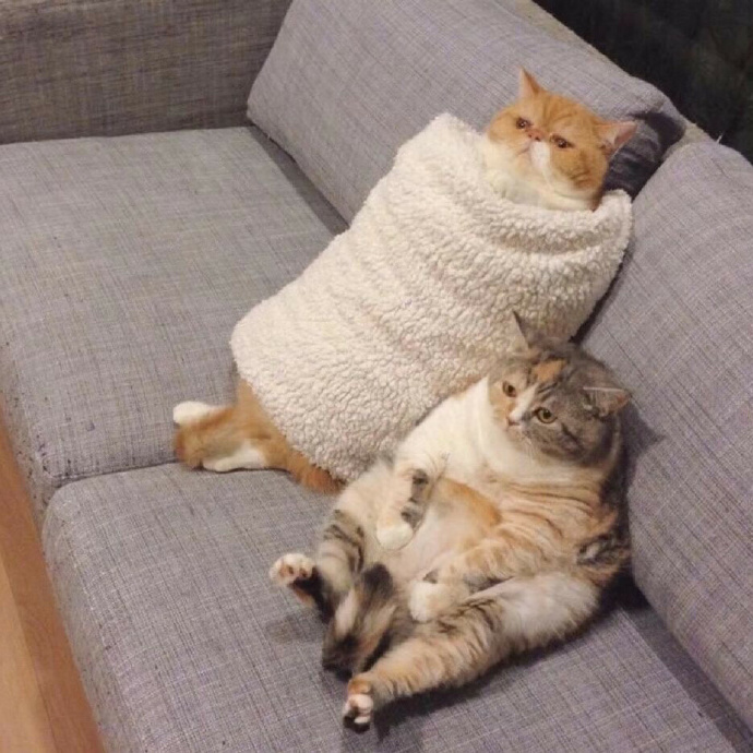 搞怪可爱好玩微信头像