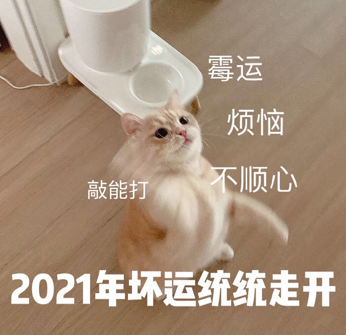 2021新一年的愿望祝愿微信表情包