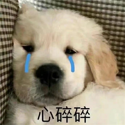 让你很喜欢的微信表情包