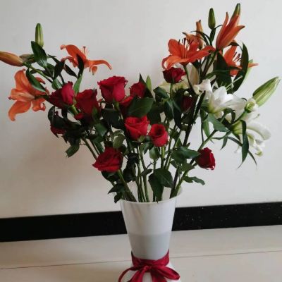 阳光风景高清头像