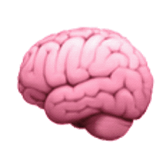 关于大脑的动态聊天表情