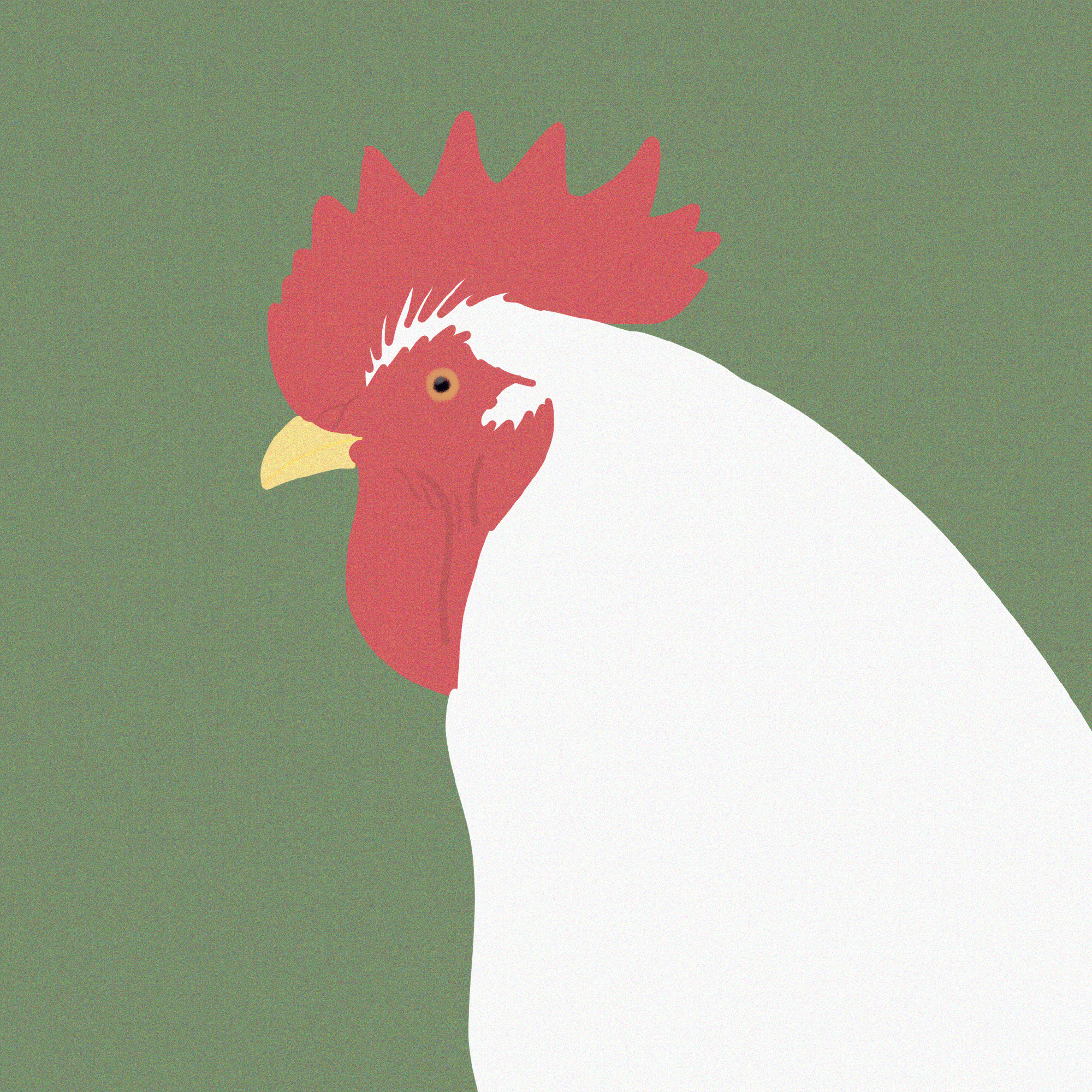 手绘可爱动物微信头像