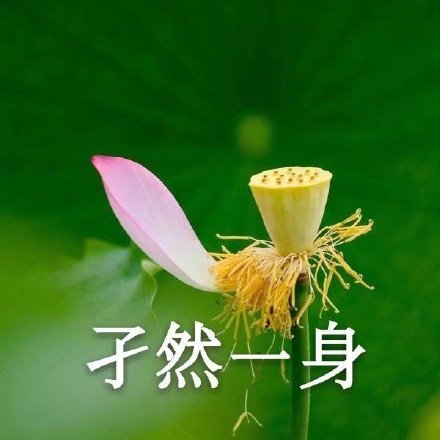 适合成熟稳重的人使用的微信头像