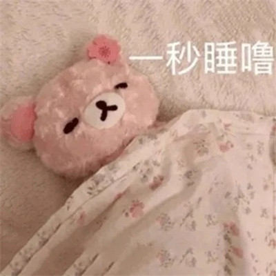 萌宠小动物带字表情包