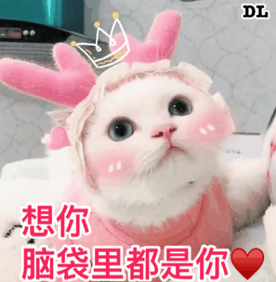 可爱猫猫萌萌的动态微信表情包
