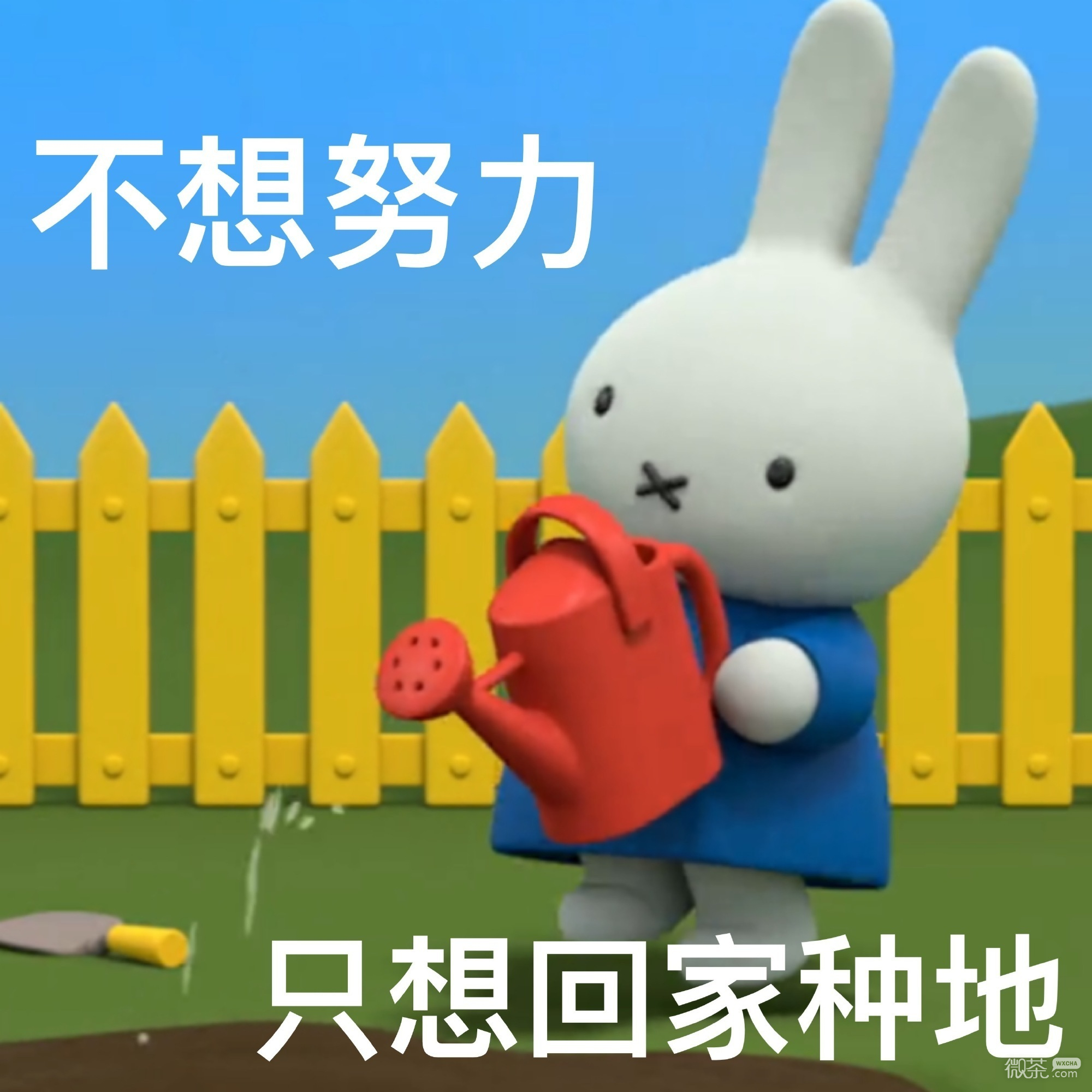 米菲兔阴阳怪气微信表情包