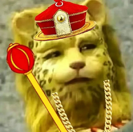 最近很火的金钱豹微信头像