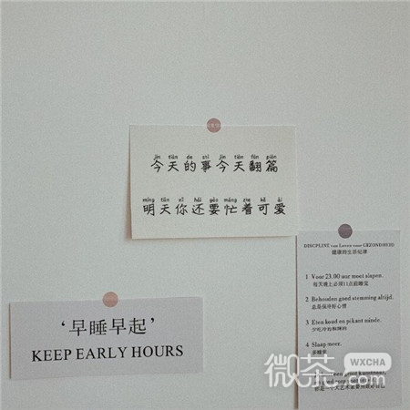 有趣又特别的文字朋友圈背景图