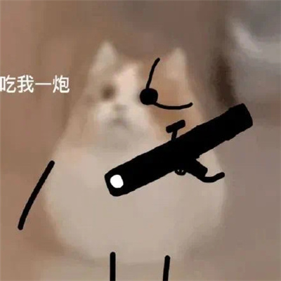 打劫小猫搞笑表情