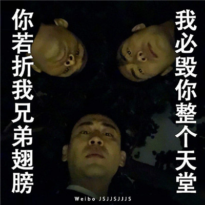 掌中之物彭冠英微信表情包