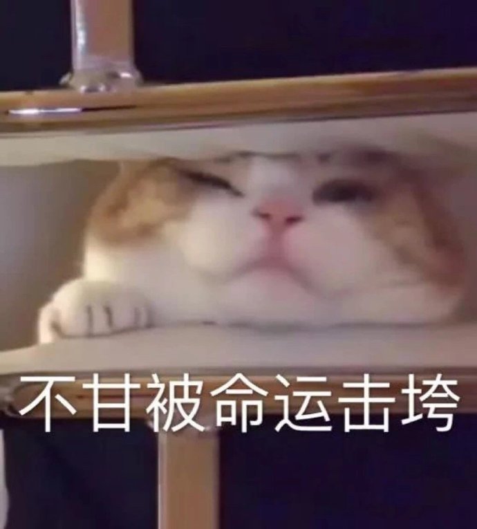 沙雕搞笑好玩斗图微信表情包