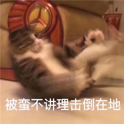 话题终结者搞笑微信表情包