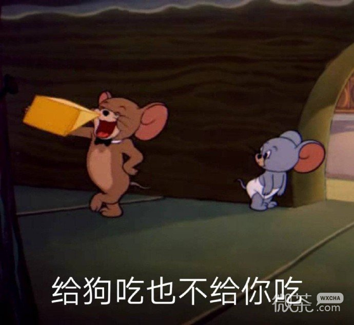 猫和老鼠撩人怼人微信表情包