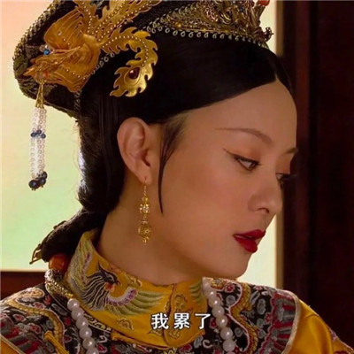 全新好笑的甄嬛传表情包