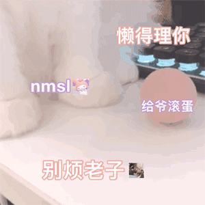 可爱喵星人动态微信表情包