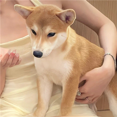 氛围感满满的情头