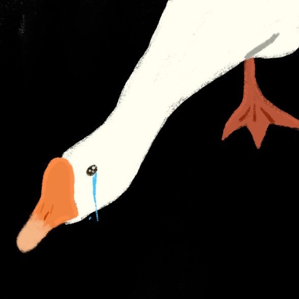 手绘可爱动物微信头像