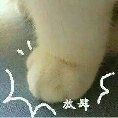 猫猫沙雕动态微信表情包