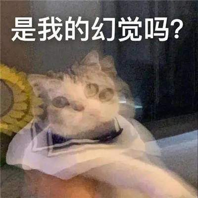 最近很火热门表情包