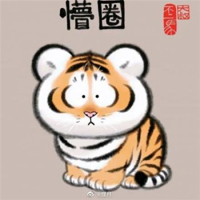 全网超火的小老虎微信头像