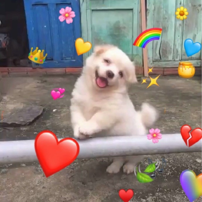 可爱搞怪微信头像