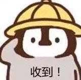 收到套系微信表情包