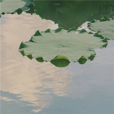 很搞怪的又很俏皮的情侣头像