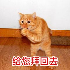 沙雕拜年微信表情包