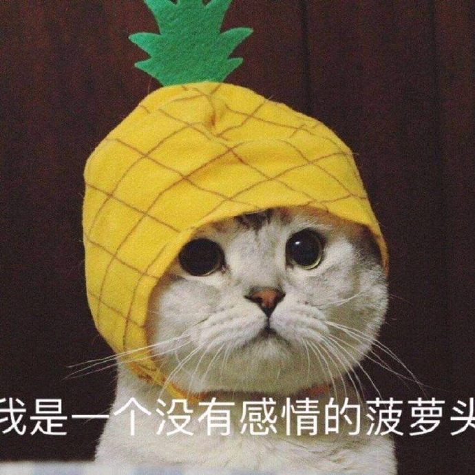 沙雕另类的情侣微信头像