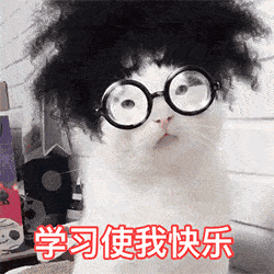 沙雕猫猫欢乐动态微信表情包