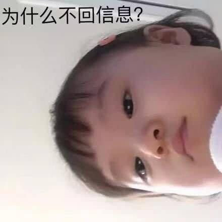 专业怼人不回信息系列微信表情包
