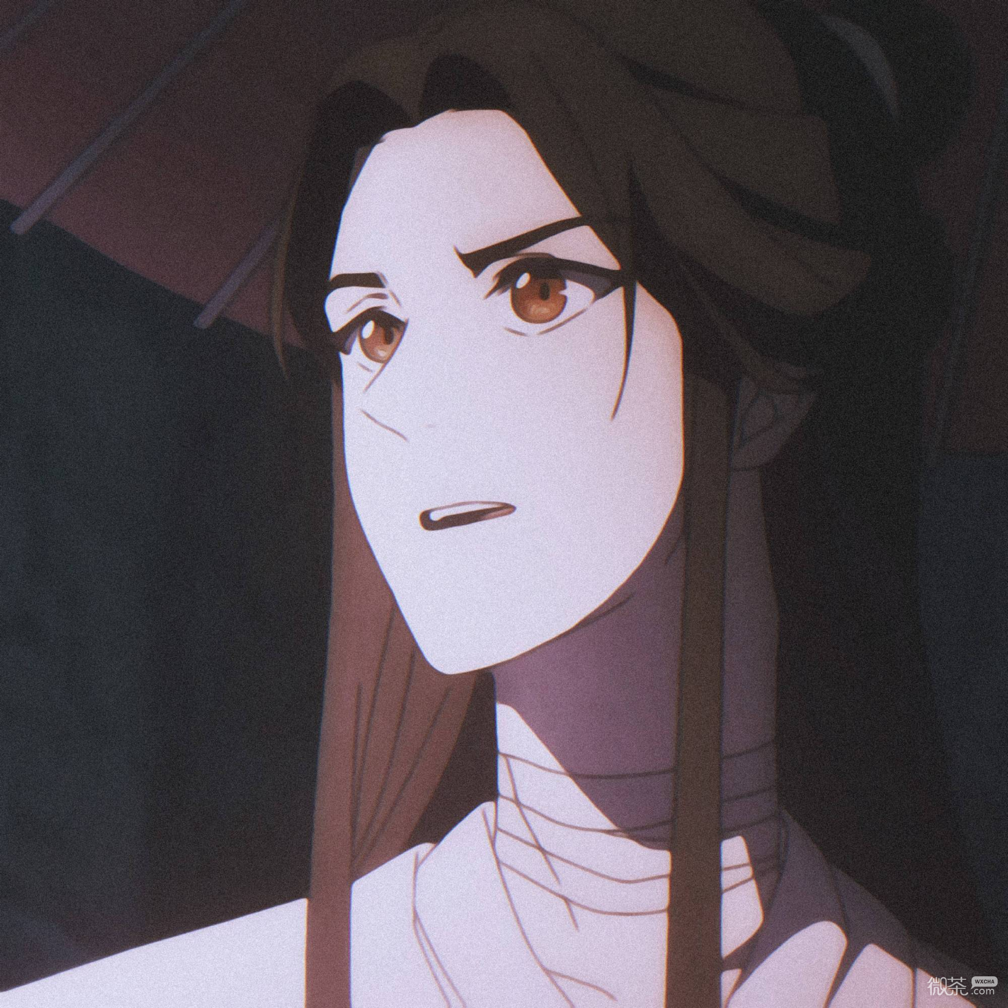 《天官赐福》仙乐太子谢怜微信头像