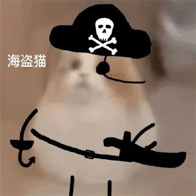 打劫小猫搞笑表情