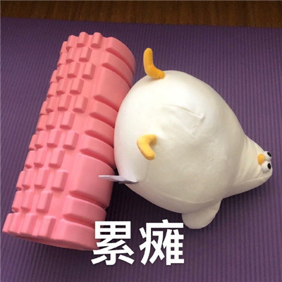 魔性海鸥搞笑微信表情包