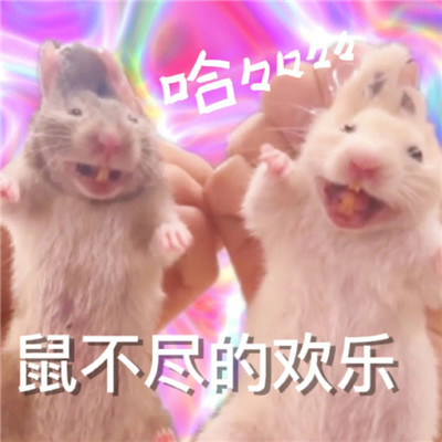 最新版的热门表情包